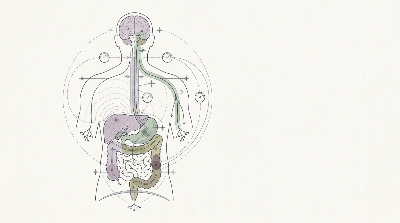 Interoception: a dry run of internal feedback loops