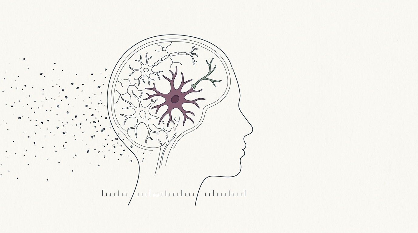 Abstract cream-and-slate line illustration on Kokorology paper, drawn for Air Pollution Linked to Alzheimer's Risk, Especially in Women