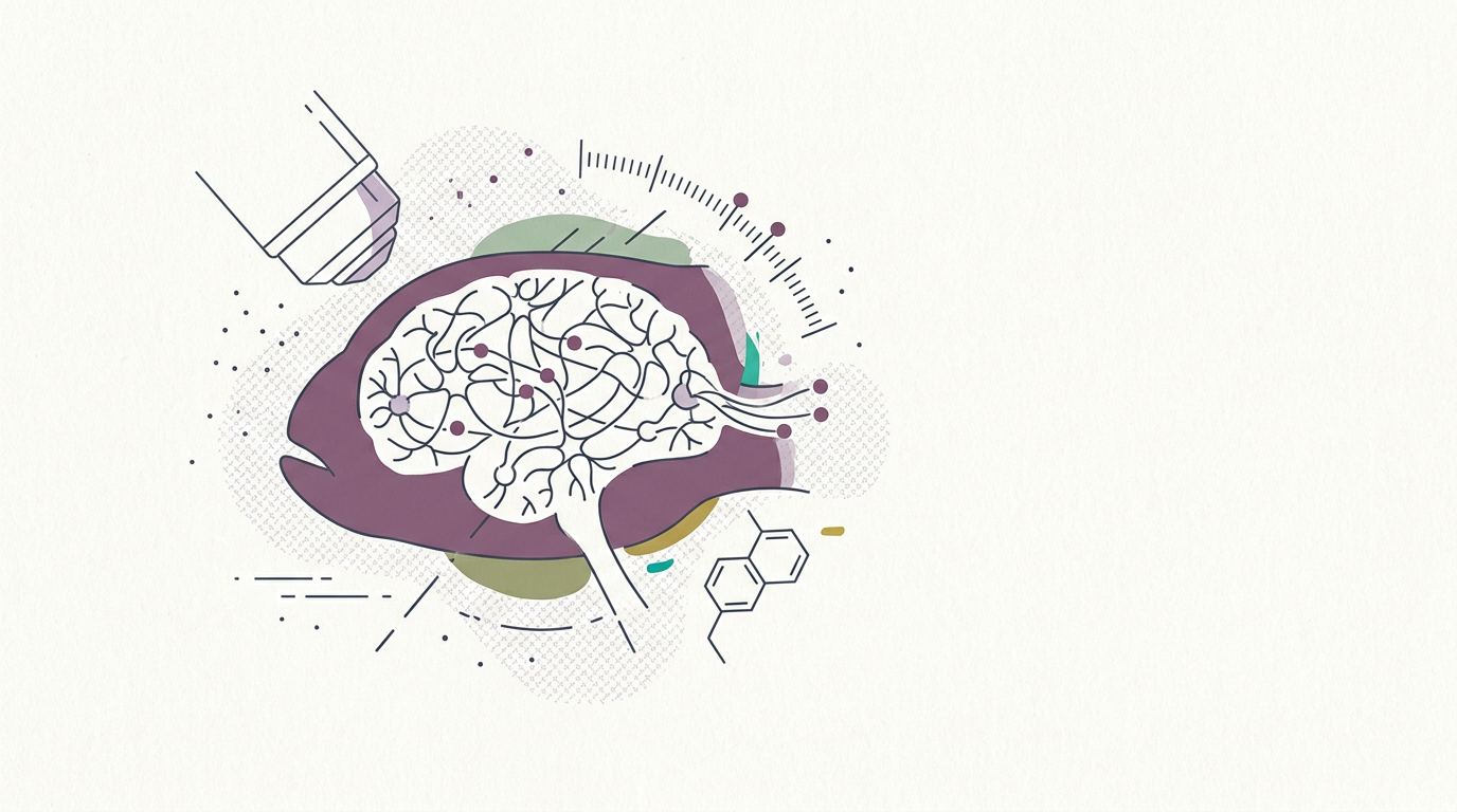 Abstract cream-and-slate line illustration on Kokorology paper, drawn for MIT microscope images whole brain neuron activity at 200 Hz