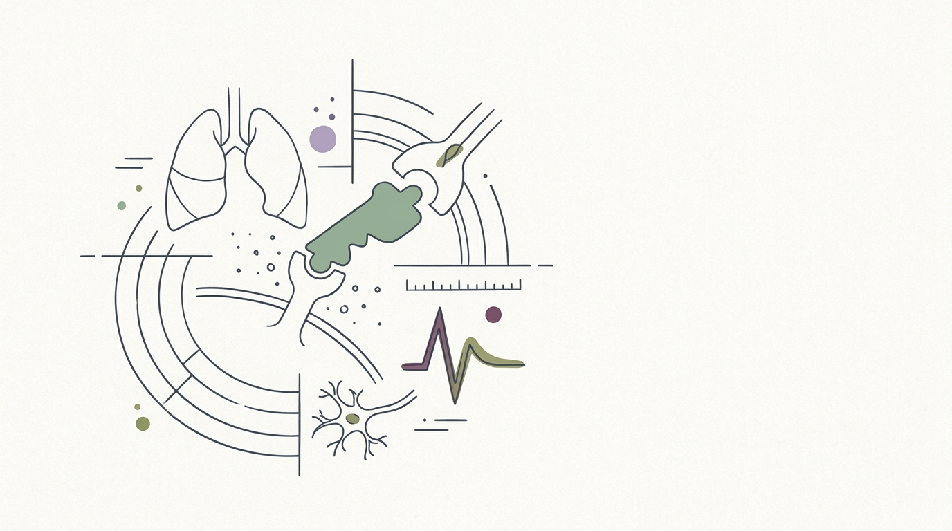 Abstract cream-and-slate line illustration on Kokorology paper, drawn for Runner's high linked to body's natural cannabis system