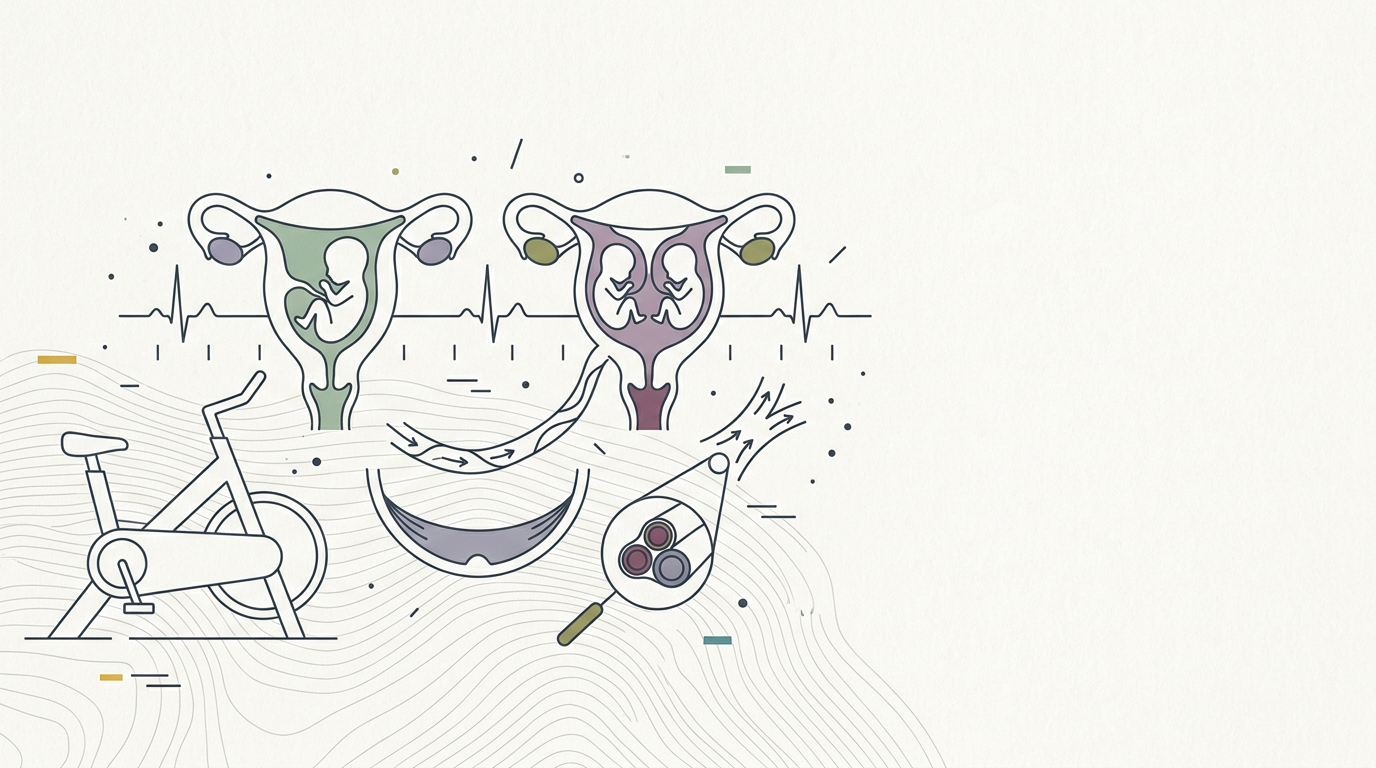 Abstract cream-and-slate line illustration on Kokorology paper, drawn for Twin Pregnancies Tolerate Vigorous Exercise Like Singletons