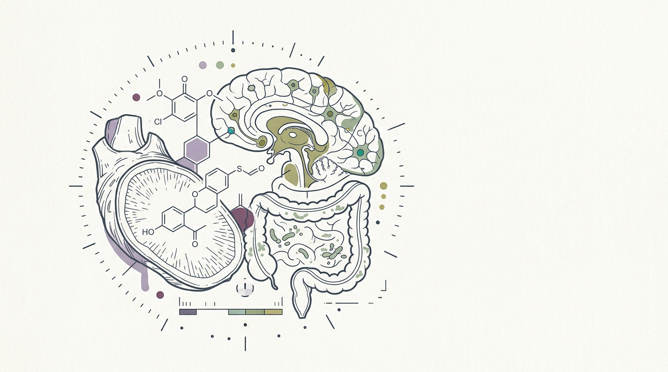Abstract cream-and-slate line illustration on Kokorology paper, drawn for Wasabi-derived cognition supplement launches for healthy aging