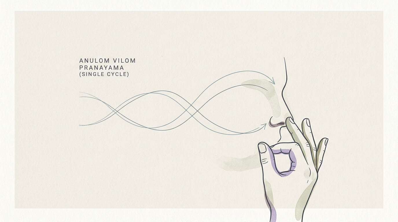 Anulom Vilom Pranayama (Single Cycle)