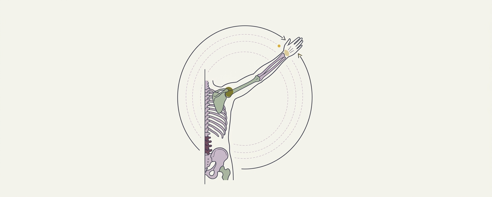 Abstract cream-and-slate line illustration on Kokorology paper, drawn for Controlled Articular Rotation of the Shoulder