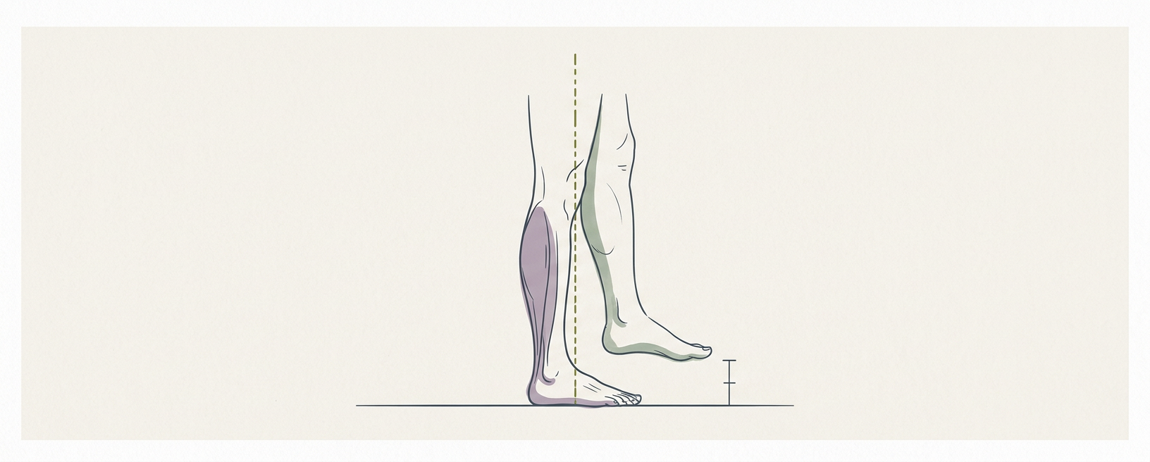 Abstract cream-and-slate line illustration on Kokorology paper, drawn for The eyes-closed single-leg stand for neural balance and stability