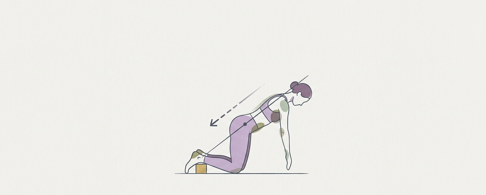 Abstract cream-and-slate line illustration on Kokorology paper, drawn for Nordic Hamstring Curl for Tendon Resilience