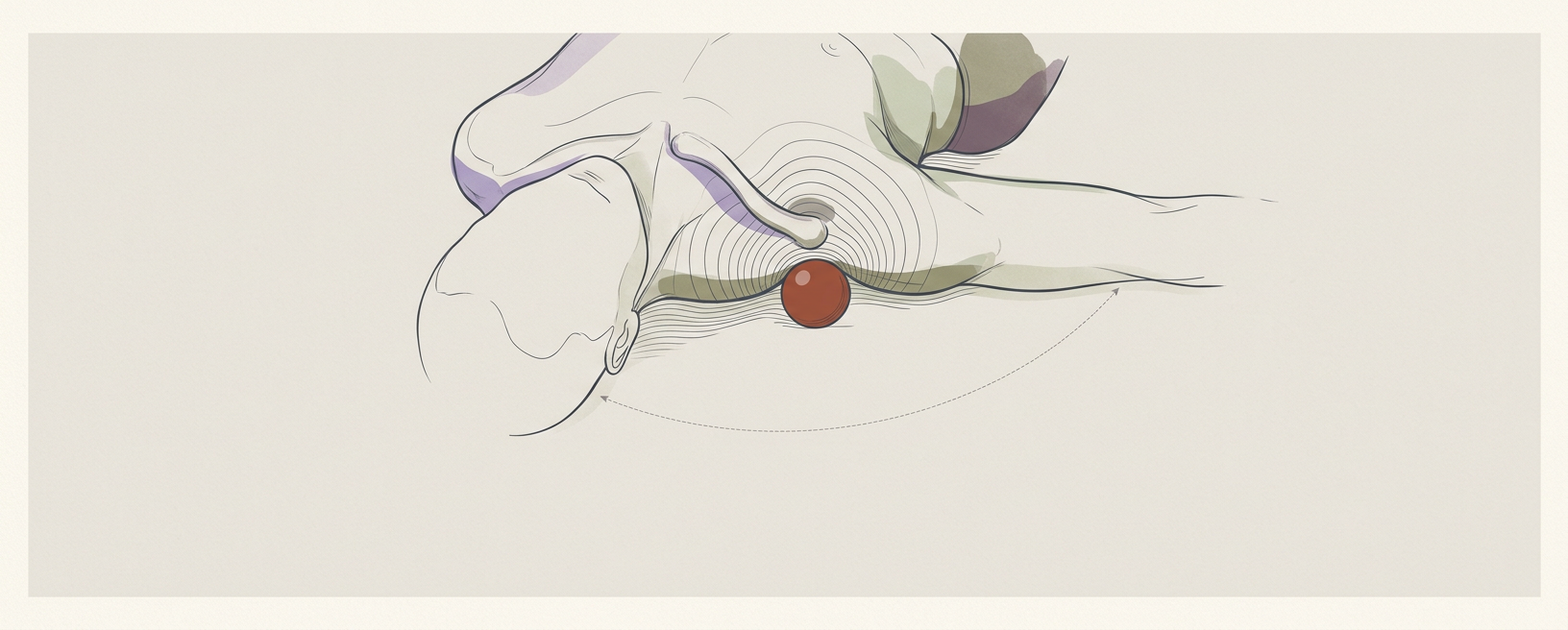 Pectoral Release for Upper Body Reconfiguration