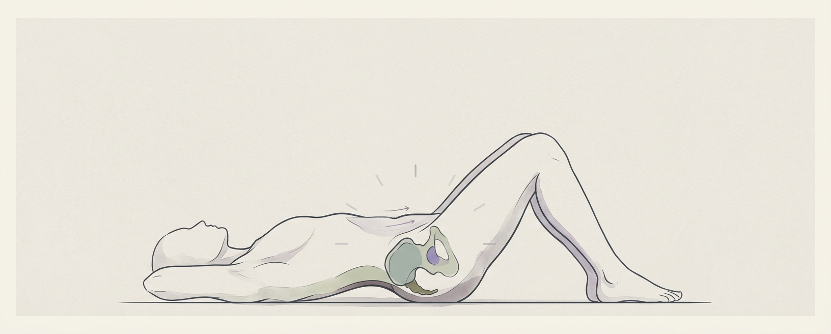 Pelvic Clock for Pelvic Awareness