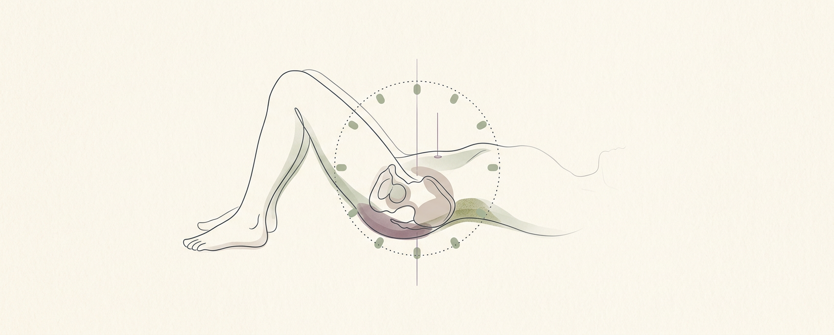 Pelvic Clock for Spinal Differentiation