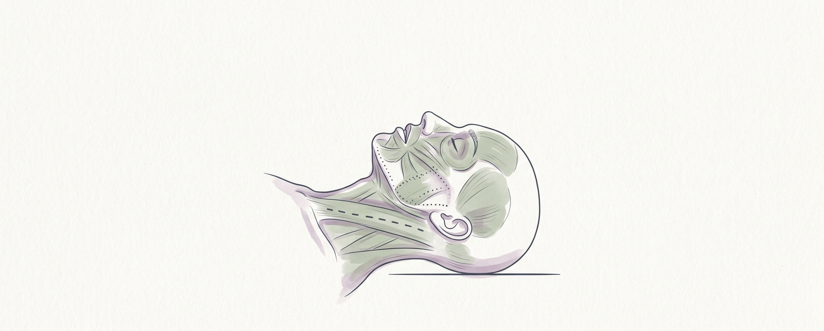 Abstract cream-and-slate line illustration on Kokorology paper, drawn for Release the Jaw and Neck to Calm the System