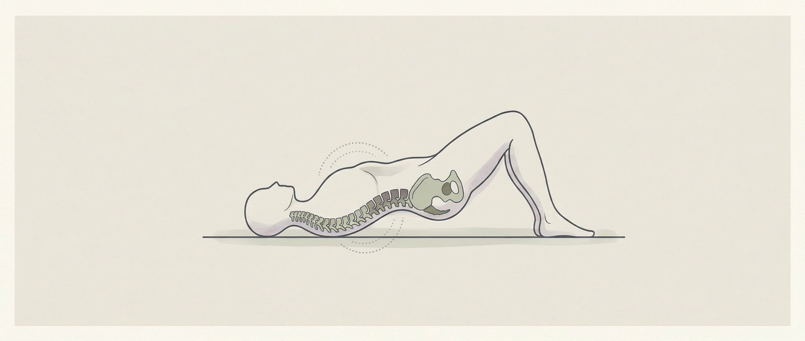 Supine Pelvic Curl for Core Stabilization and Breath Integration