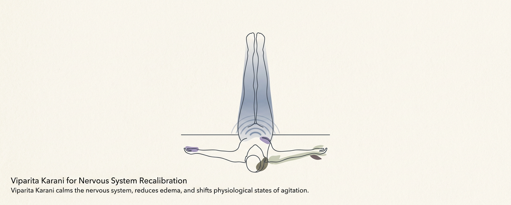 Viparita Karani for Nervous System Recalibration