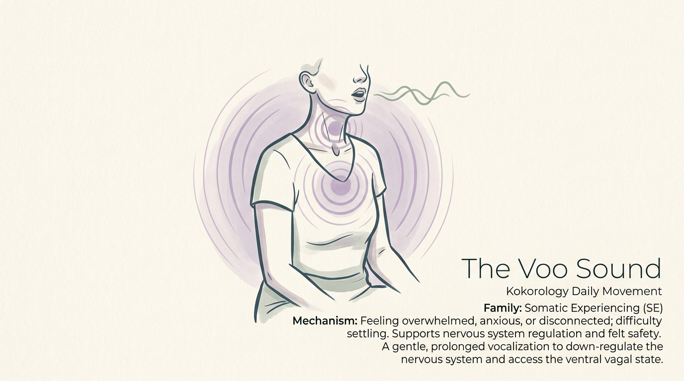 The Voo Sound