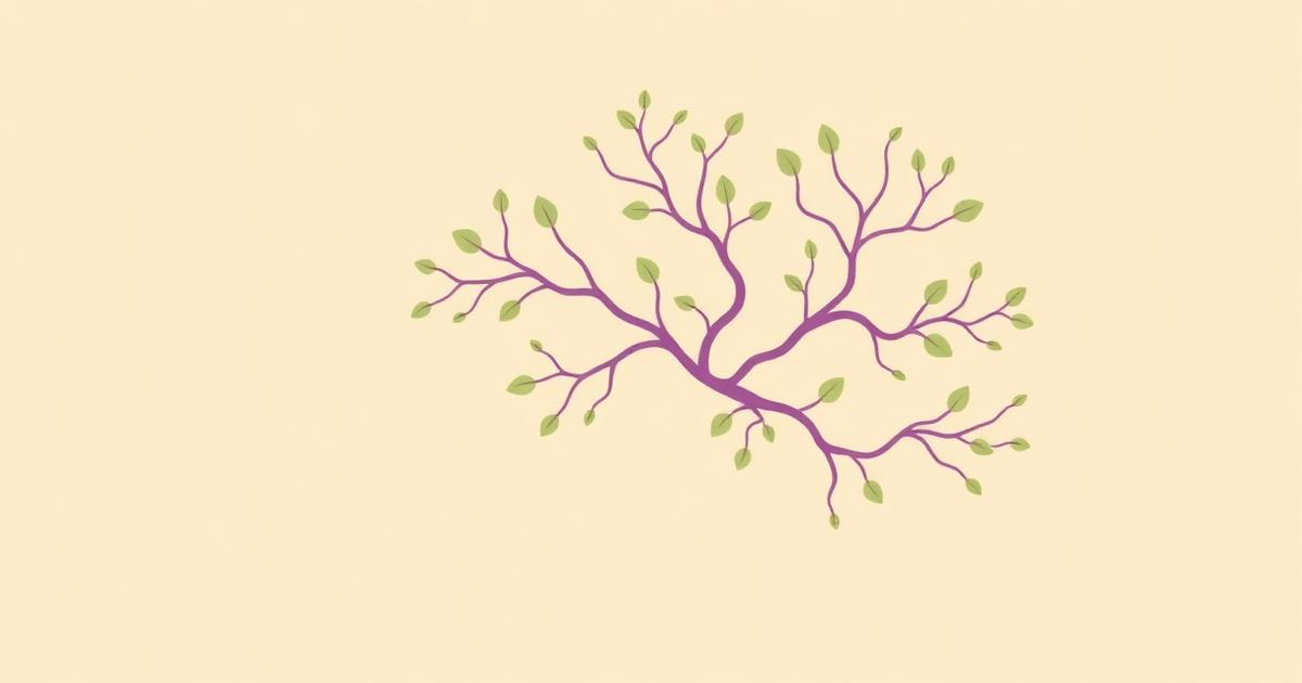 Polyvagal Theory Explained: How Your Vagus Nerve Controls Stress Response