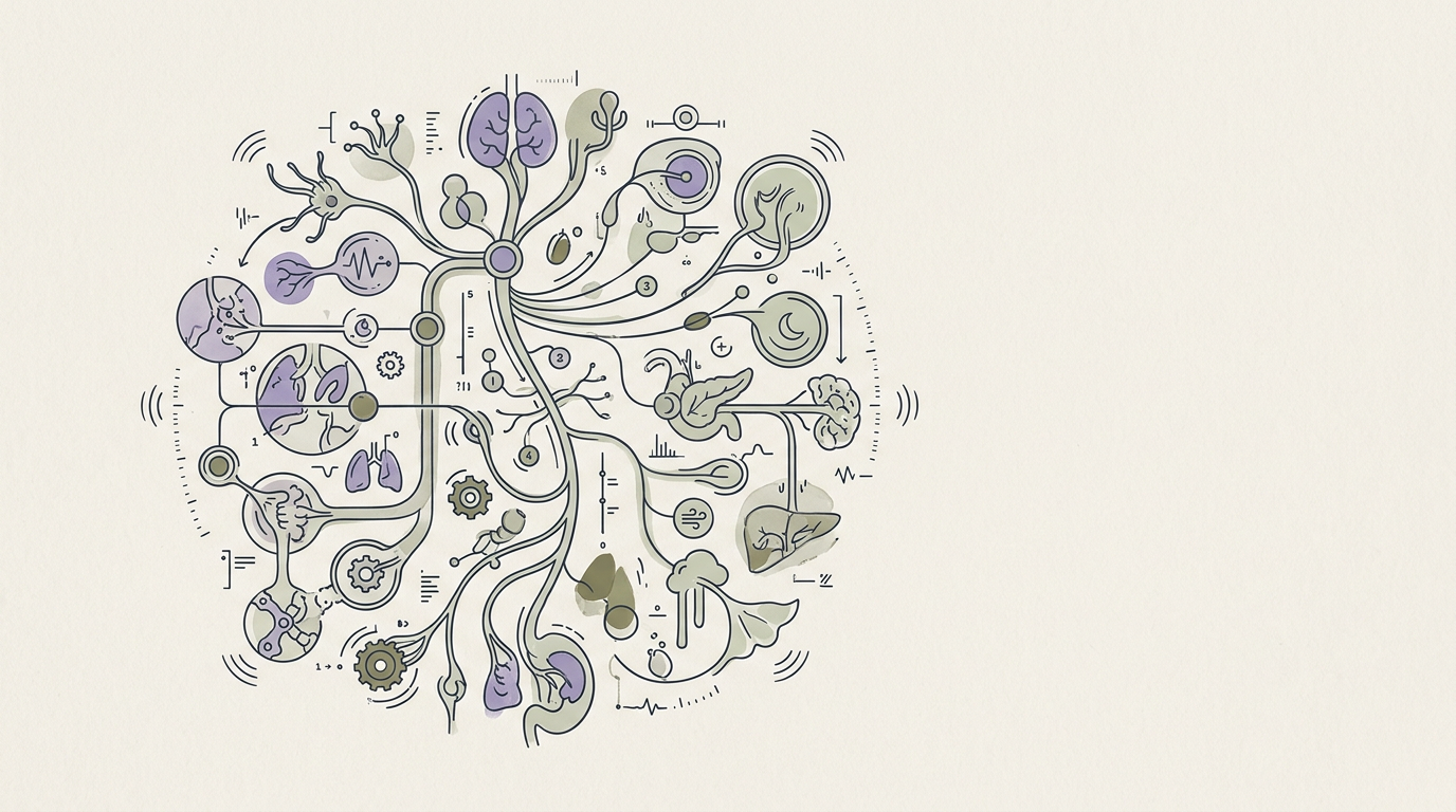 Wired and Tired Explained by your Vagus Nerve